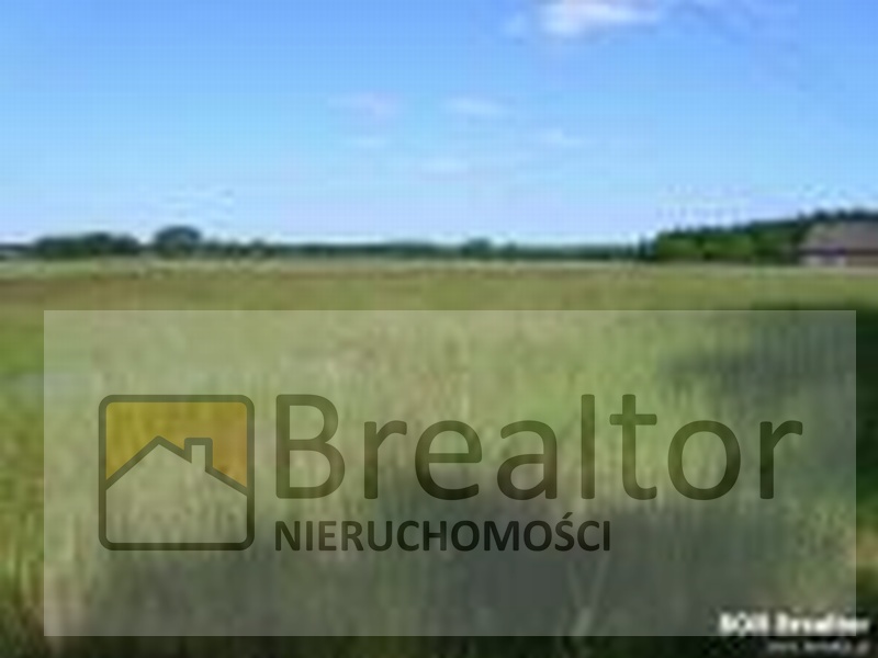 Rozległa działka w Jaryszewie koło Poznania, widok na zielone pole pod błękitnym niebem, z nałożonym logo agencji nieruchomości Brealtor.