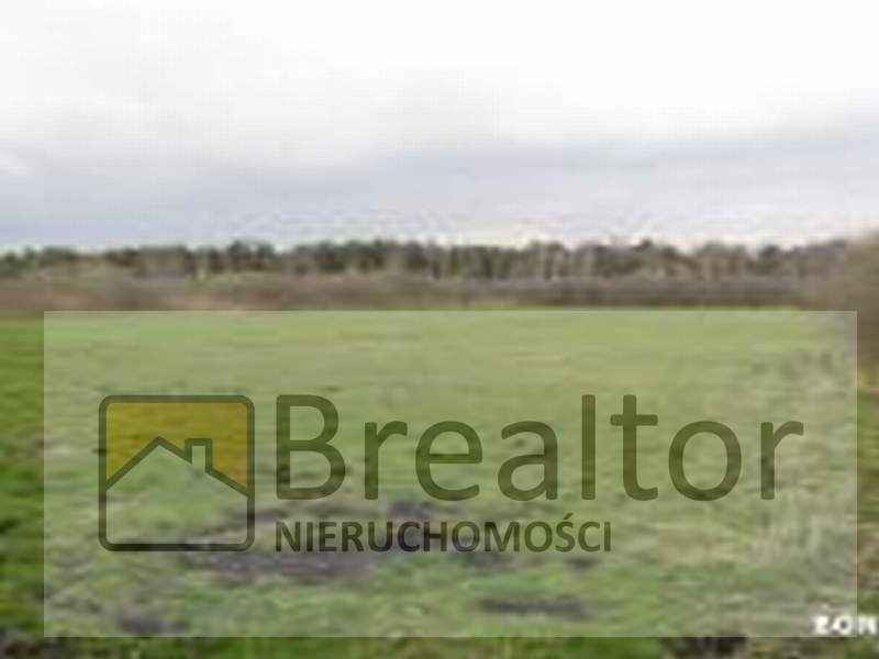 Rozległa działka porośnięta trawą, z widocznym lasem w tle, prezentowana przez agencję nieruchomości Brealtor.