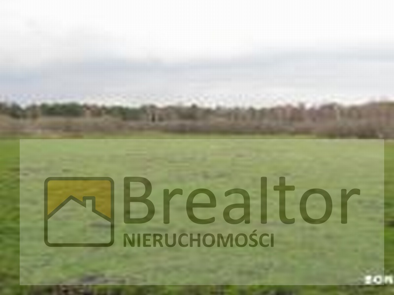 Idealna działka dla miłośników przyrody!