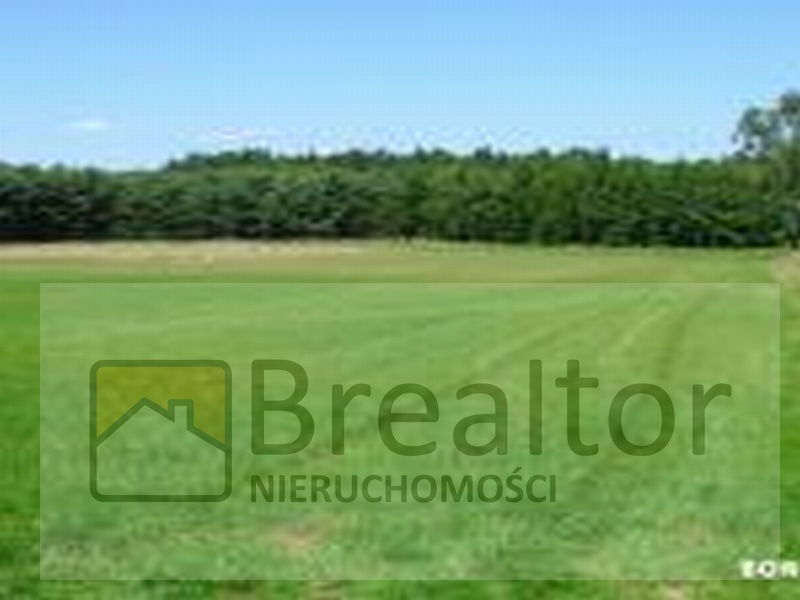 Atrakczjne działki w Nowołoskońcu na sprzedaż!