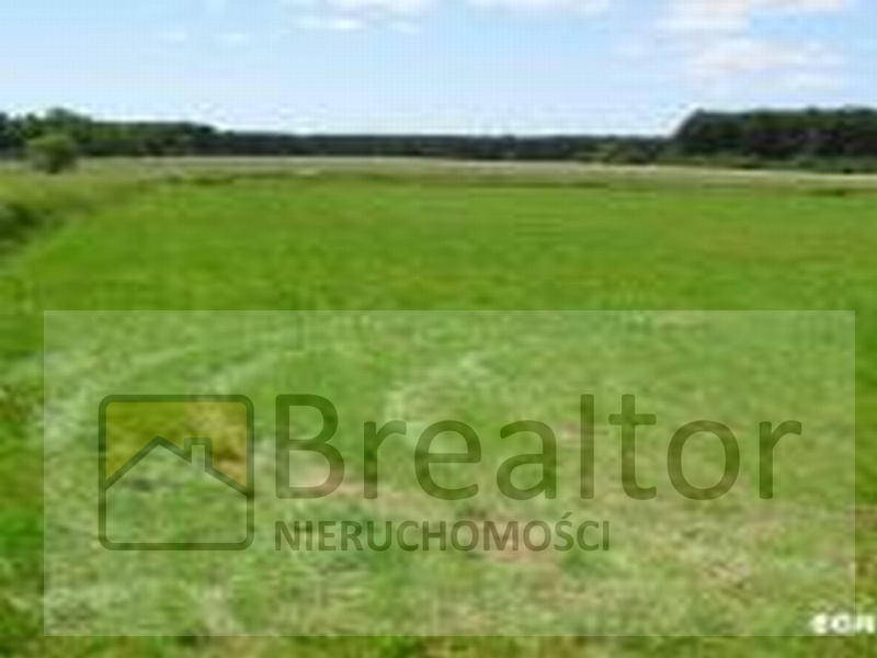 Rozległa, zielona działka budowlana z widocznym lasem w tle, lekko zamglona, z nałożonym znakiem wodnym firmy 'BrealtoR Nieruchomości'.