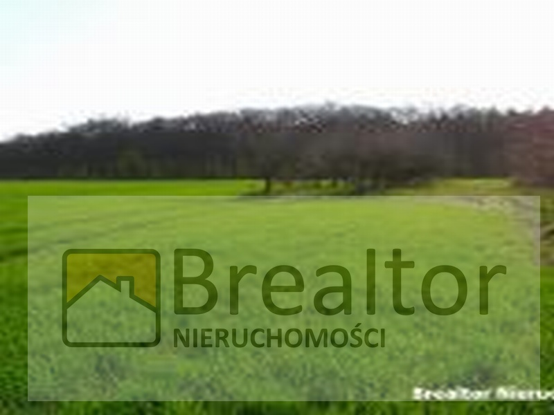 Atrakcyjna działka w SIEROSŁAWIU koło Poznania na sprzedaż!
