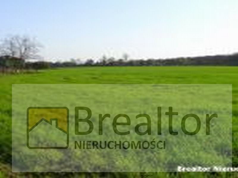 Rozległa, zielona działka z rzadkimi drzewami w oddali, na pierwszym planie logo firmy BRealtor Nieruchomości.