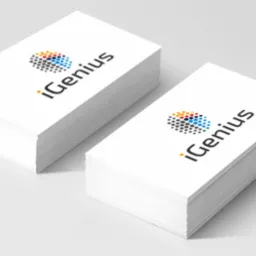 Dwie stosy białych wizytówek z logo 'iGenius' składającym się z kolorowych kropek i czarnego napisu na jasnoszarym tle.