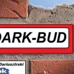 "Dark-Bud" Usługi budowlane - Kominki Kożuchów