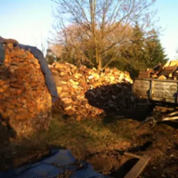 Stos drewna kominkowego zabezpieczony plandeką i siatką, obok przyczepa wypełniona drewnem na tle drzew w słoneczny dzień. Sezonowanie drewna.