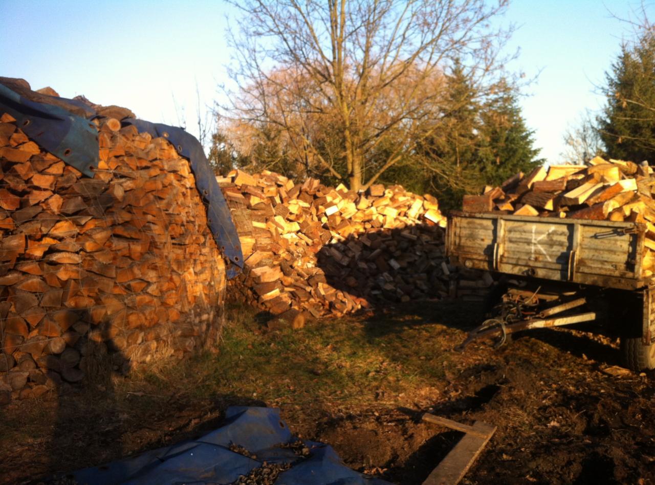 Stos drewna kominkowego zabezpieczony plandeką i siatką, obok przyczepa wypełniona drewnem na tle drzew w słoneczny dzień. Sezonowanie drewna.