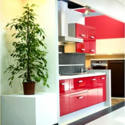 Nowoczesna kuchnia z czerwonymi lakierowanymi frontami szafek, stalowym okapem i szarą mozaiką na ścianie, uzupełniona rośliną doniczkową w rogu pomieszczenia.