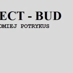 Logo firmy budowlanej Perfect-Bud Bartłomiej Potrykus, przedstawiające dom z młotkiem w środku.