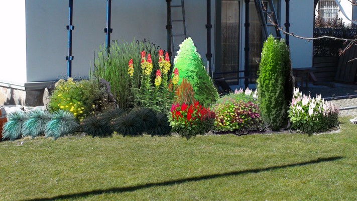 Wizualizacja rabaty kwiatowej przed budynkiem z różnorodnymi roślinami, w tym trawami ozdobnymi, niskimi krzewami i kwiatami w odcieniach czerwieni, żółci i bieli; w tle drabina oparta o ścianę...