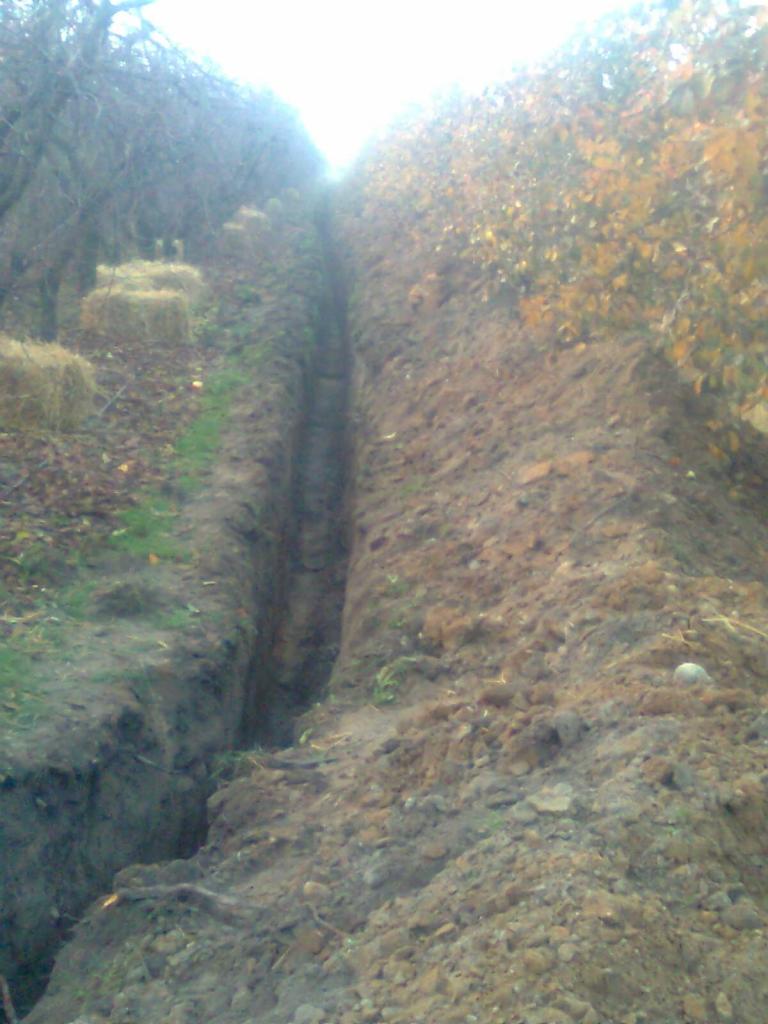 Długi, wąski wykop w ziemi biegnący wzdłuż granicy działki porośniętej drzewami i niską roślinnością, z balotami słomy w tle.