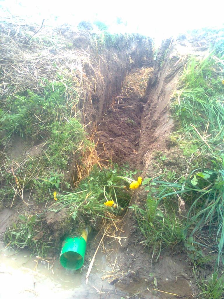Głęboki, wąski rów w ziemi, z widocznym zielonym rurociągiem u dołu, odprowadzającym wodę; na zboczach rowu rosną trawy i żółte mlecze.