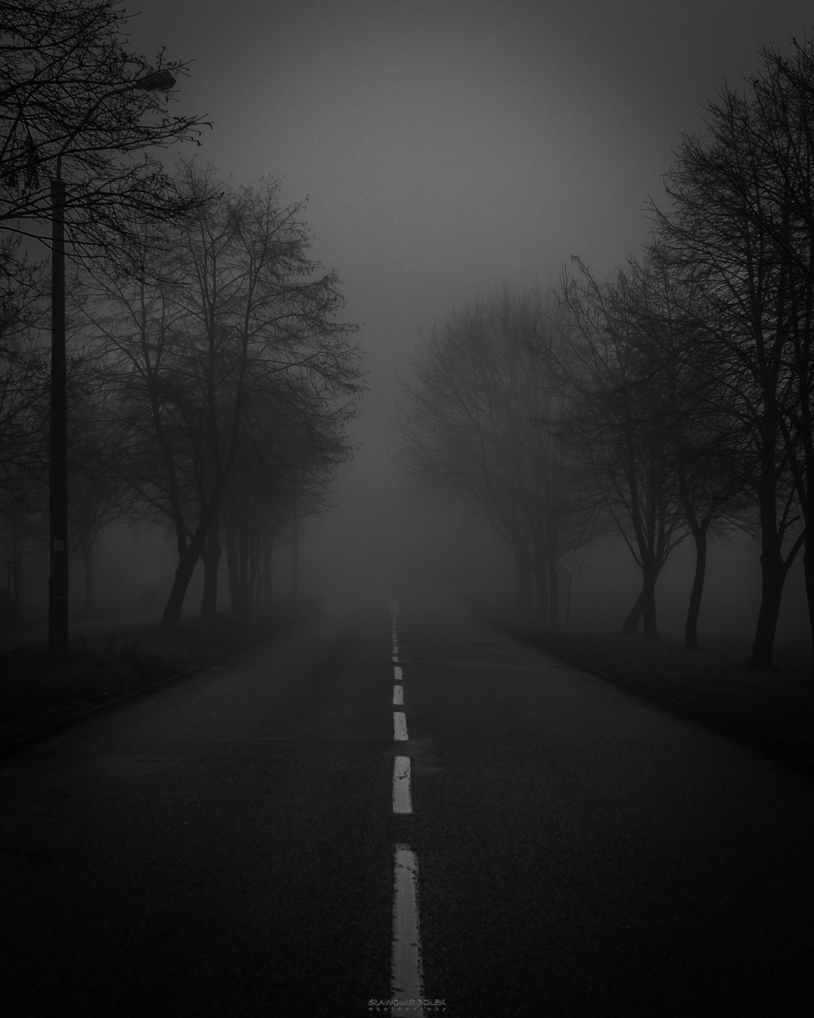Czarno-białe zdjęcie drogi w gęstej mgle, z drzewami po obu stronach i lampą uliczną po lewej, perspektywa prowadzi wzrok w dal.