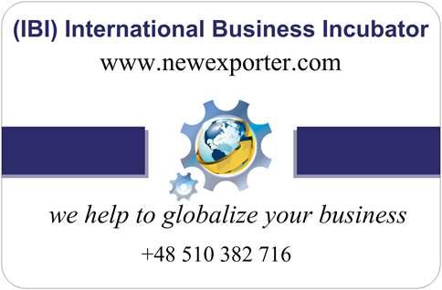Wizytówka International Business Incubator z adresem strony www.newexporter.com, logo z globusem w zębatce i hasłem 'we help to globalize your business' oraz numerem telefonu.