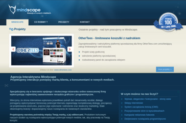 Agencja Interaktywna Mindscape - Pozycjonowanie Stron Szczecin