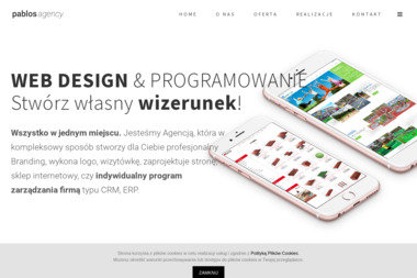 Usługi informatyczne "NetPol" - Tworzenie Stron WWW Szczecin