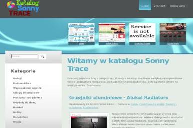 Sonny Trace. Jolanta Miedzińska - Doradca podatkowy Warszawa