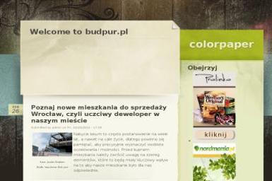 Budpur. Sp. z o.o. Producent stolarki okiennej PCV - Drzwi Bydgoszcz