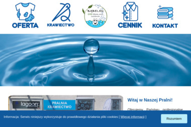 Firma Handlowo Usługowa Paryska - Usługi Mycia Okien Poznań-Daszewice