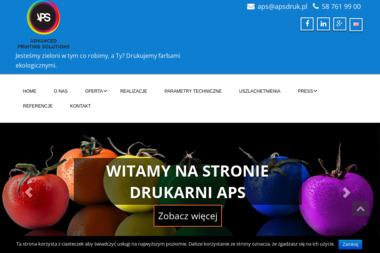 APS - Usługi Itroligatorskie Gdańsk