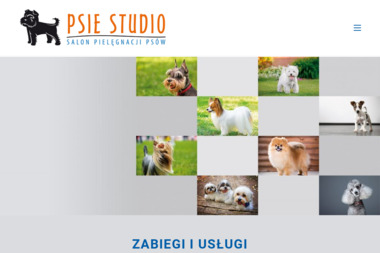 Salon Strzyżenia i Pielęgnacji Psów - Psie Studio - Fryzjer Olsztyn