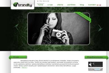 BRANDiTY PHU - Strona www Zarszyn