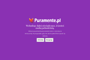 PURAMENTE Zbigniew Grabowski - Ocieplanie Pianką Brześć Kujawski