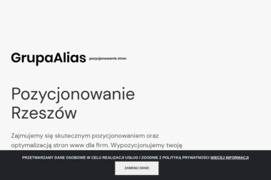 Alias - Iwanek i Olszewski - Pozycjonowanie Stron Bydgoszcz