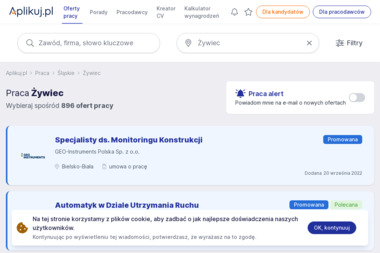 Regionalne Portale Pracy Paweł Strykowski - Sklepy Online Bielsko-Biała