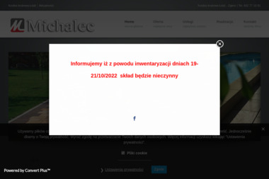 MICHALEC Kostka Brukowa - Kopanie Stawów Łódź