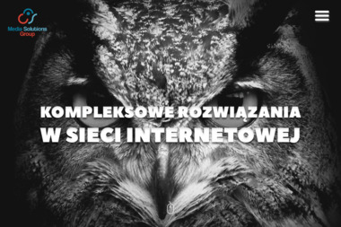 Produkcja - Projektowanie Stron Internetowych Polańczyk