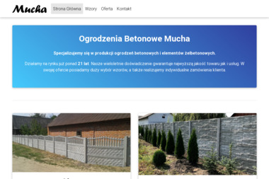 Paweł Stankiewicz - Ocieplanie budynków Popielów