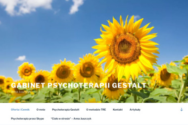 Psychoterapeuta-zdrowie - Psychoterapia Katowice