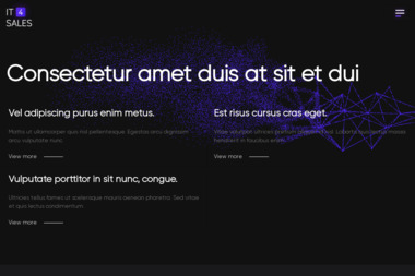 Krzysztof Darmetko - Projektowanie Stron Internetowych Warszawa