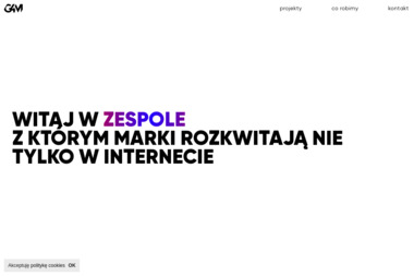 Go4Media Sp. z o.o. - Reklama internetowa Poznań