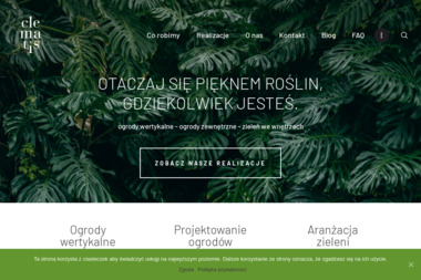 Clematis Architektura Krajobrazu - Budowa Oczka Wodnego Luboń