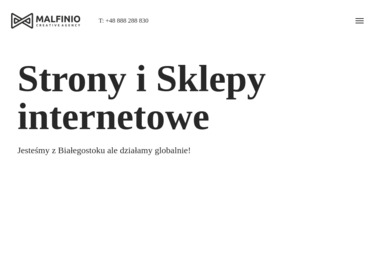 Agencja Reklamowa Malfinio.pl - Projektowanie logo Wasilków