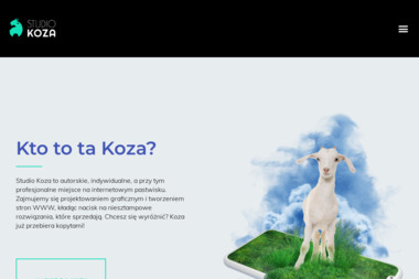 Studio KOZA - Remarketing Adwords Gdańsk