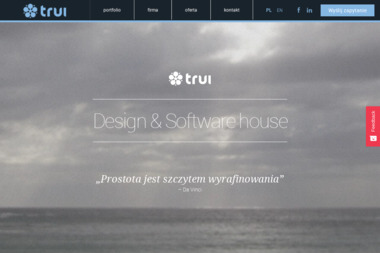 TRUI Design&Software House - Programowanie Aplikacji Dopiewo