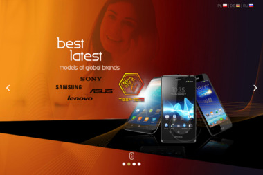 Tiger-Team Sp. z o.o.