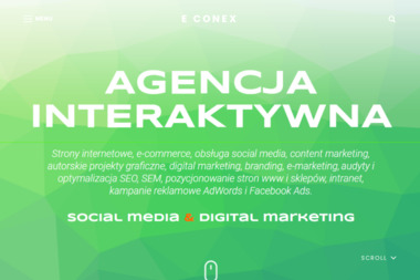 E-Conex Sp. z o.o. - Projektowanie Stron www Warszawa