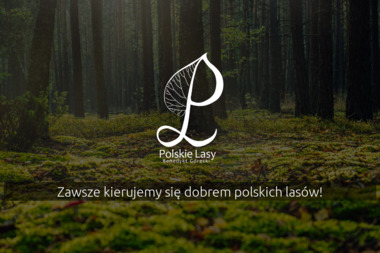 Polskie Lasy Benedykt Górecki - Wysokiej Klasy Ścinanie Drzew w Opocznie