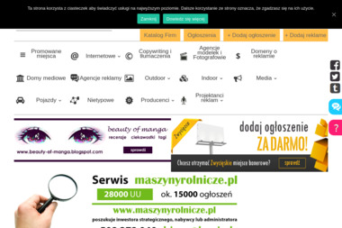 Agencja Reklamy EFEKT - Projektowanie Stron Internetowych Tychy