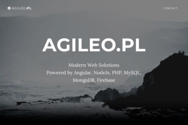 Agileo.pl - Projektowanie Stron Internetowych Lednica Górna