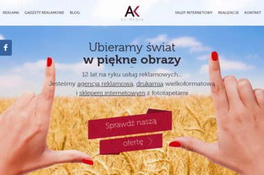 AK-Media Andrzej Kita - Prace na Wysokościach Lubin