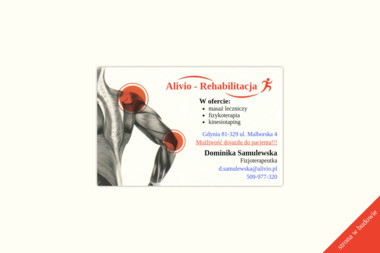 Alivio Investment Sp. z o.o. - Firma Windykacyjna Katowice