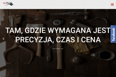 Profalis Sp. z o.o. - Prace wysokościowe Gdynia