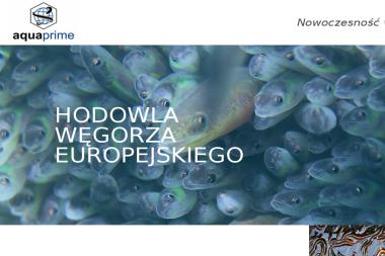 Aquaprime Sp. z o.o. - Hydraulik Grądy-Woniecko