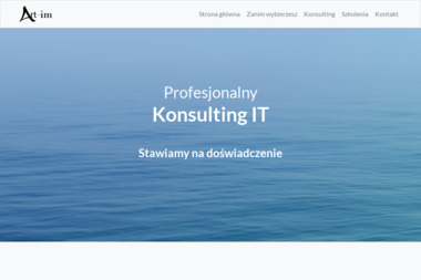 Art-Inf Consulting & Web. Strony internetowe, strony www - Pozycjonowanie stron Lublin