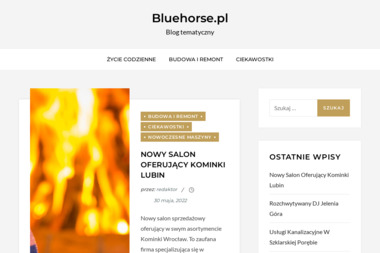 BlueHorse - Folder Reklamowy Kruszyn
